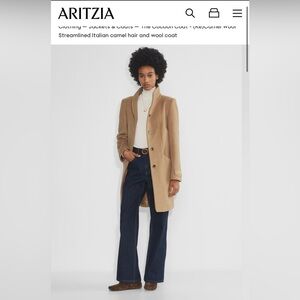 Aritzia Cocoon Coat